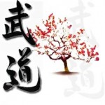 Budo