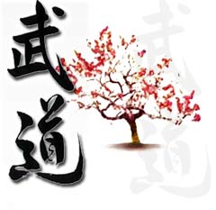 Budo