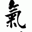 Dojo KISHINTAI